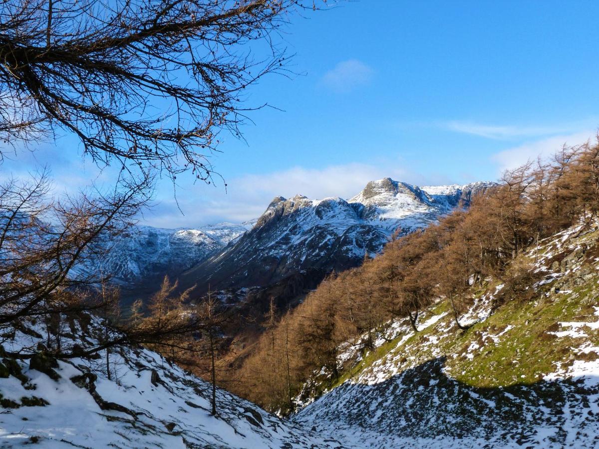 Yew - Woodland Cottages Bowness-on-Windermere Εξωτερικό φωτογραφία